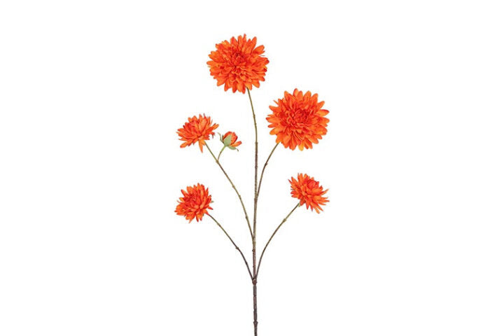 Dahlia orange h 48 cm