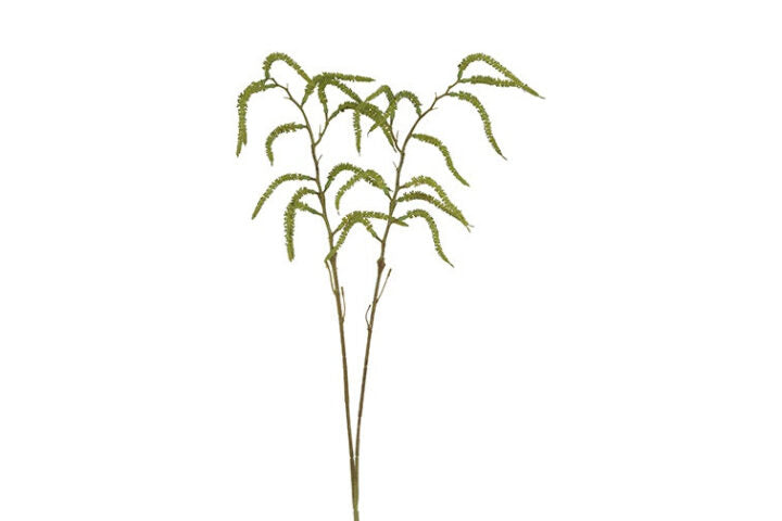 Amaranthus grøn h 80 cm