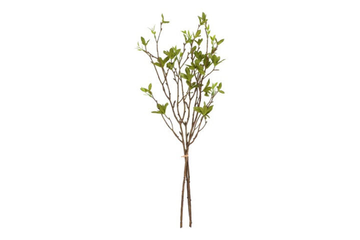 Betula bundt 3 stk h 56 cm