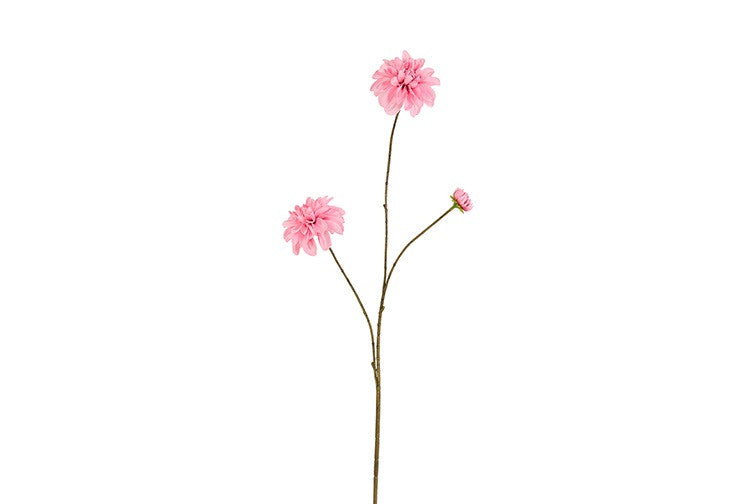 Dahlia rosa H 80 cm