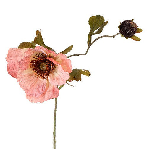 Valmue rosa h 85 cm