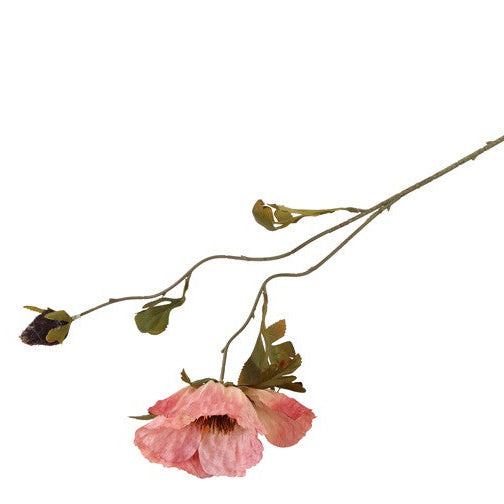 Valmue rosa h 85 cm