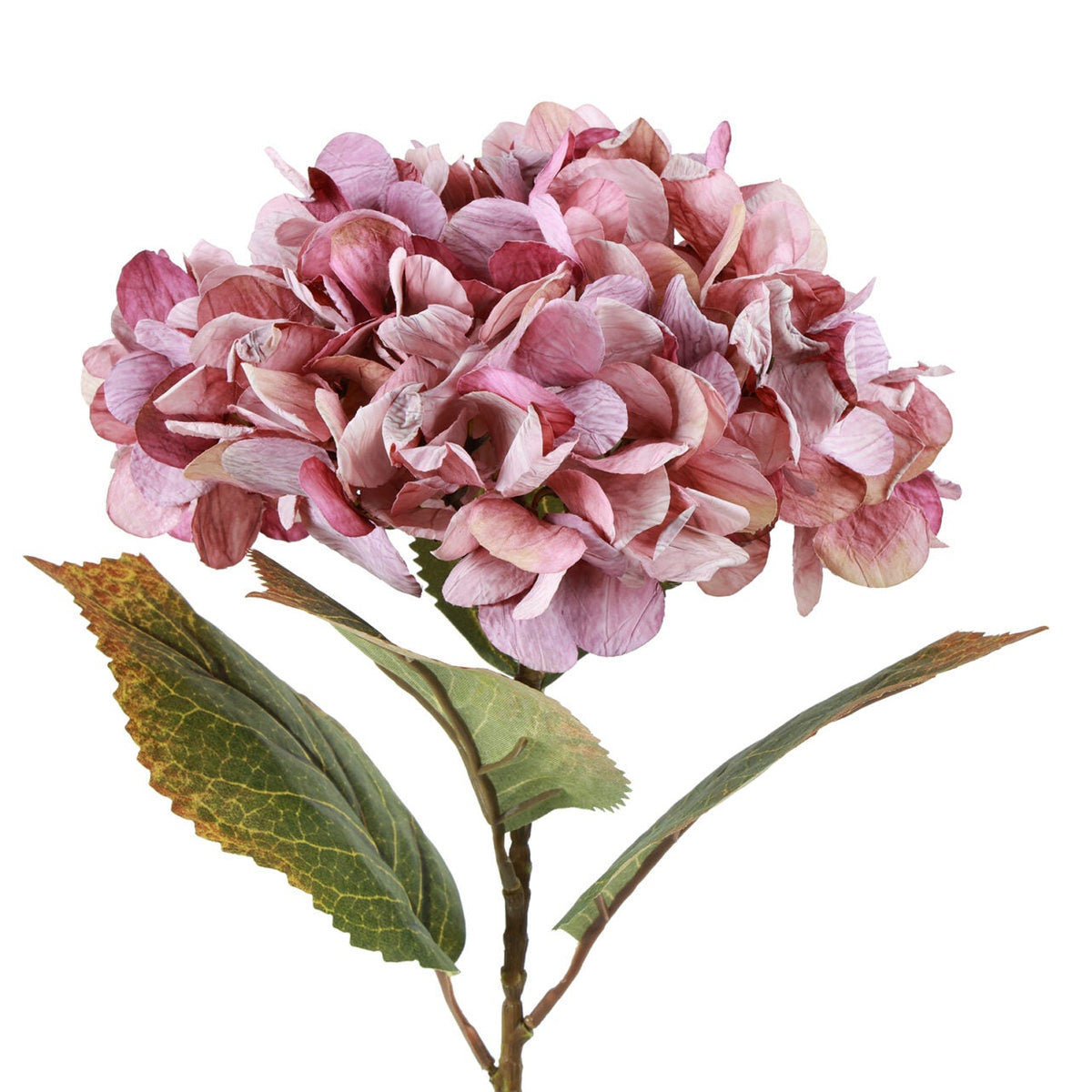 Hortensia rosa h 64 cm