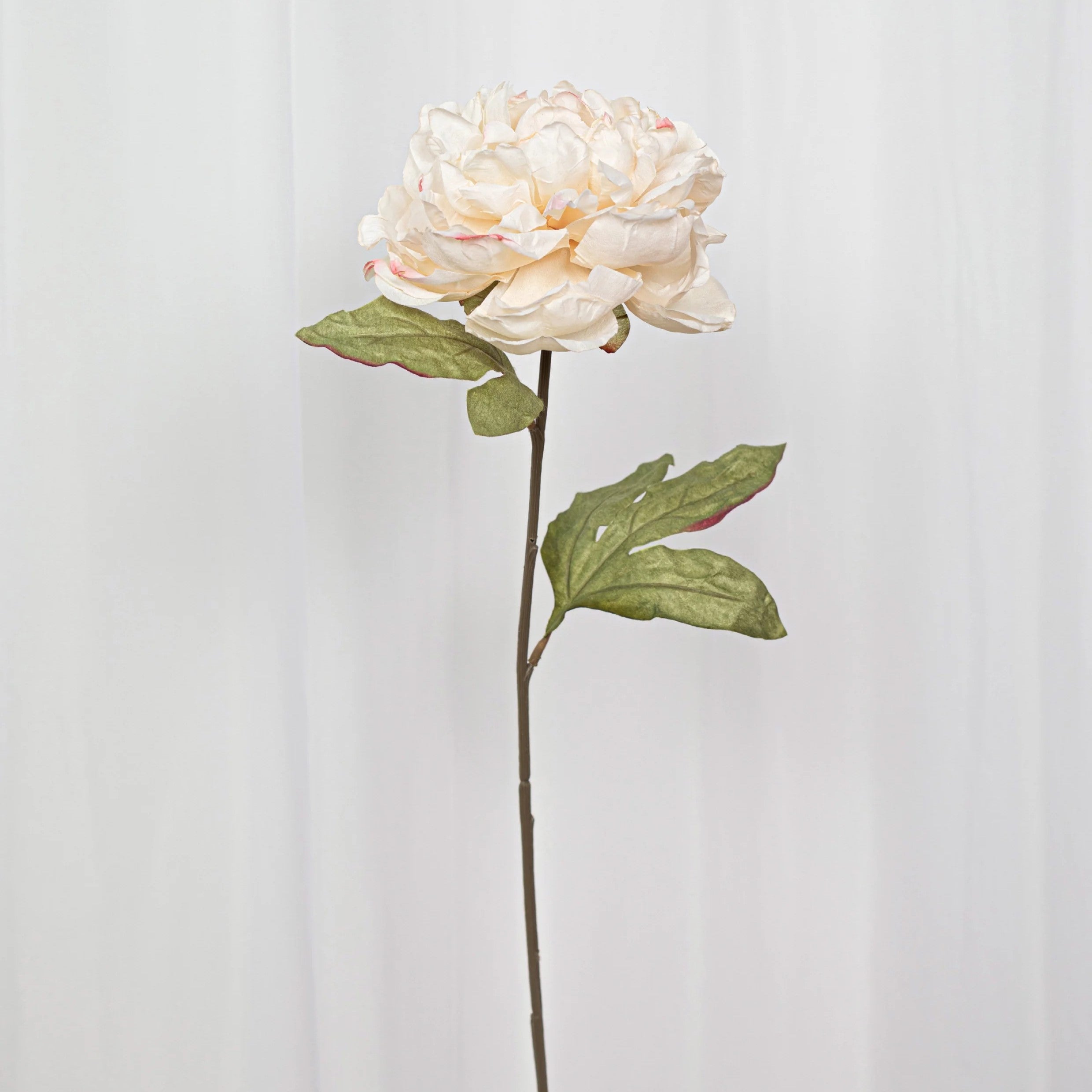 Cream Peony - Artificial Flowers