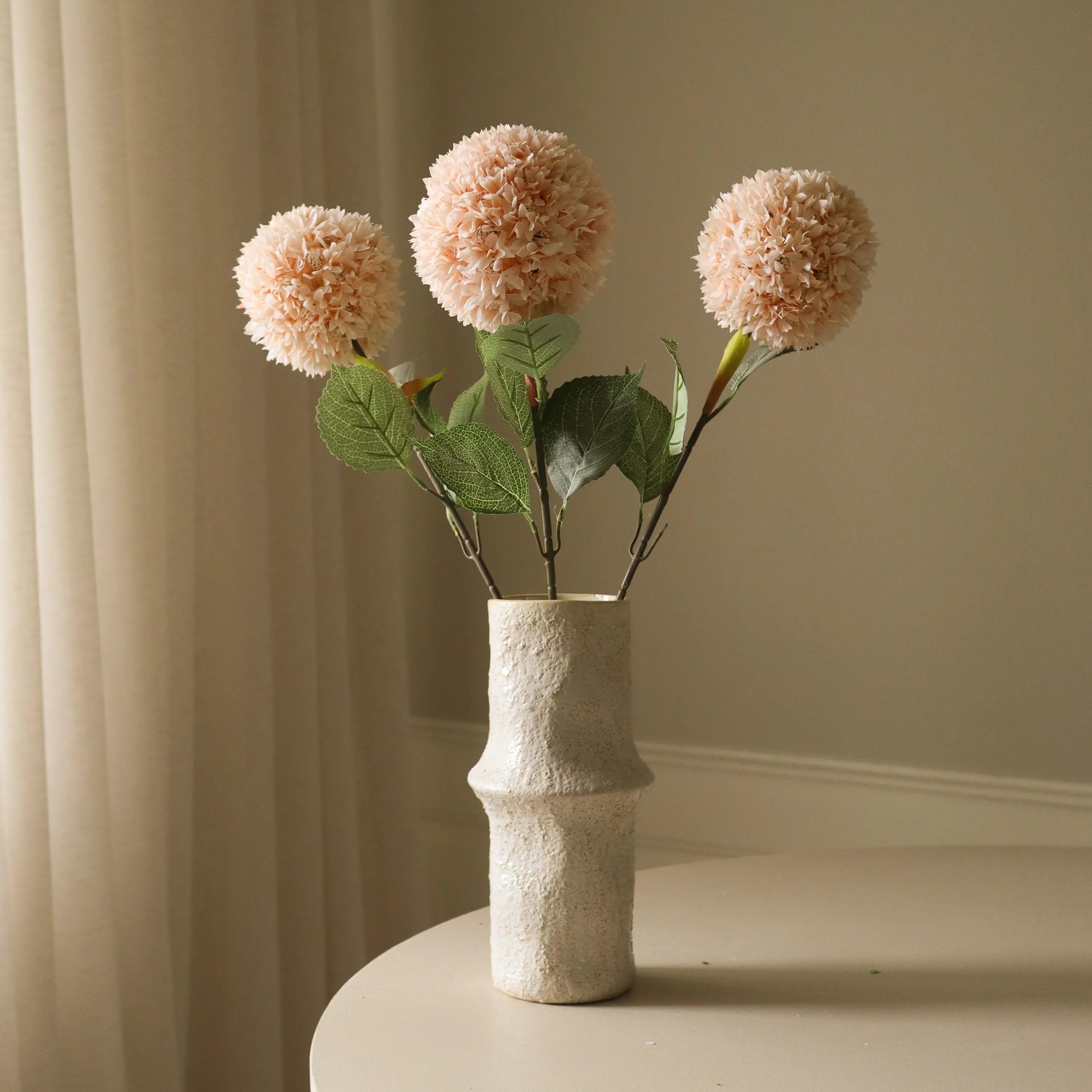 Beige Allium Azureum-løg