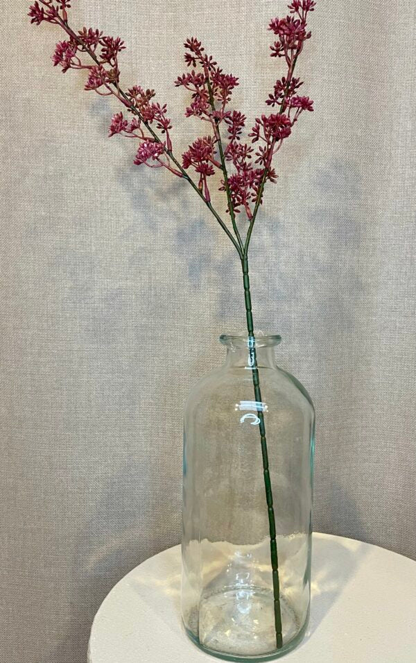 Kirsebærgren fuchsia h 65 cm