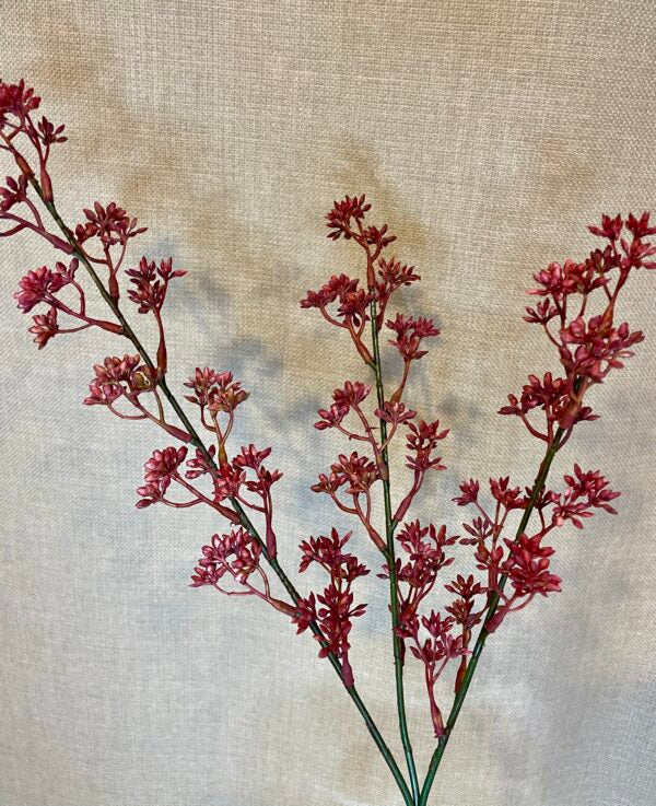 Kirsebærgren fuchsia h 65 cm