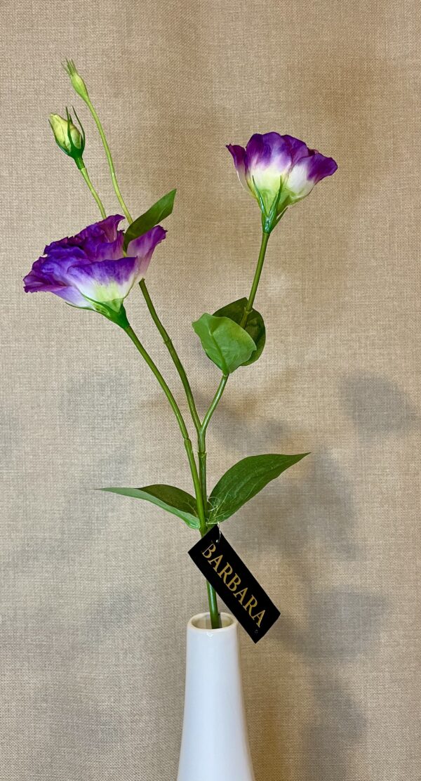 Lisianthus purple h 67 cm