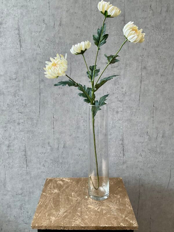 Chrysanthemum creme h 83 cm