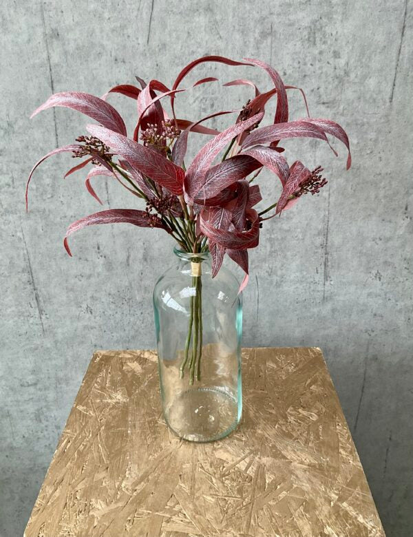 Eucalyptus rød bundt a 5 h 44