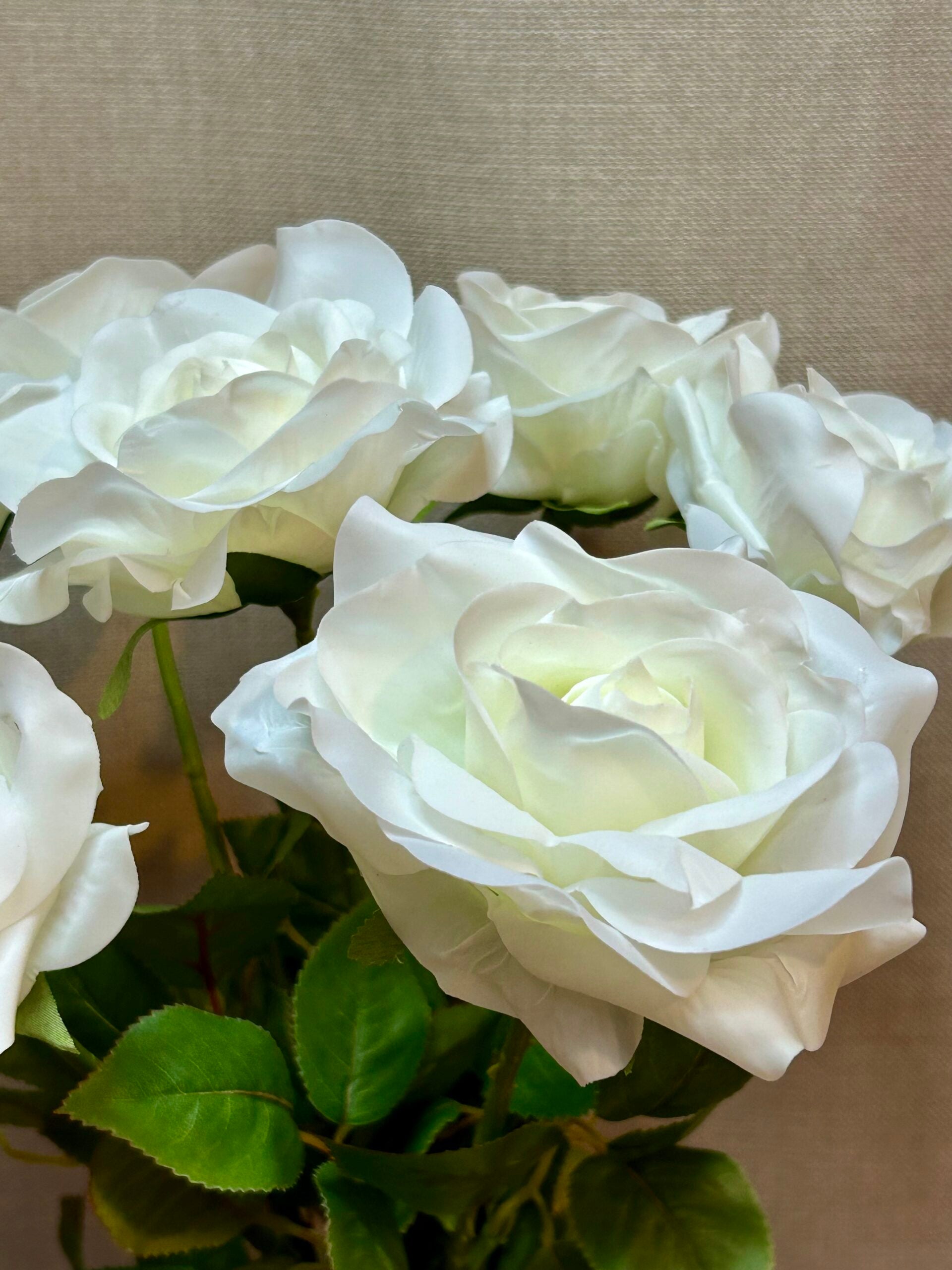 Rose hvid real touch h 69cm