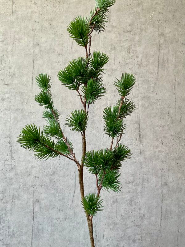 Ceder gran grøn h 106 cm