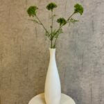 Skærmblomst grøn H 72 cm