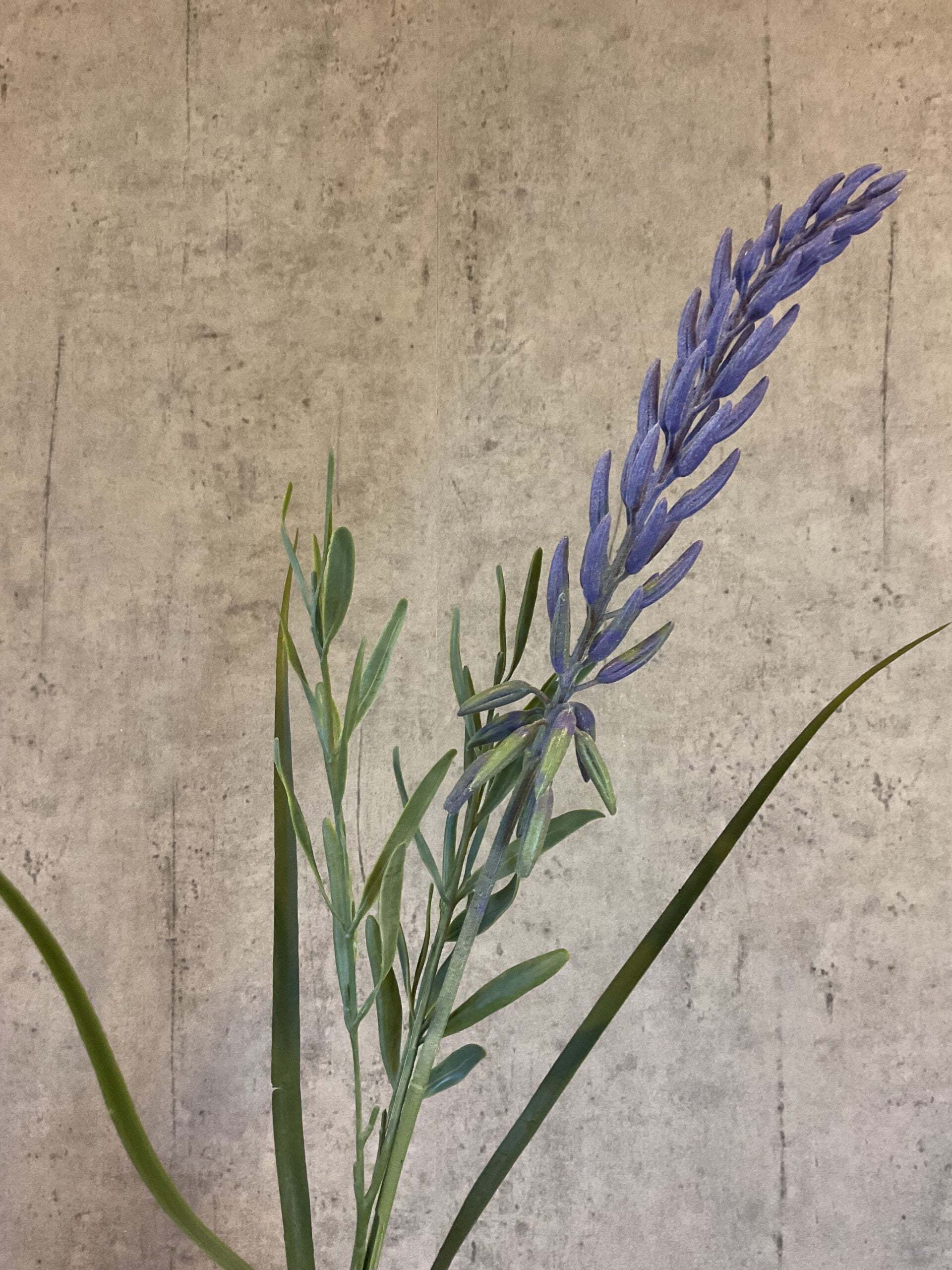 Lupin gren lavendel h 91cm
