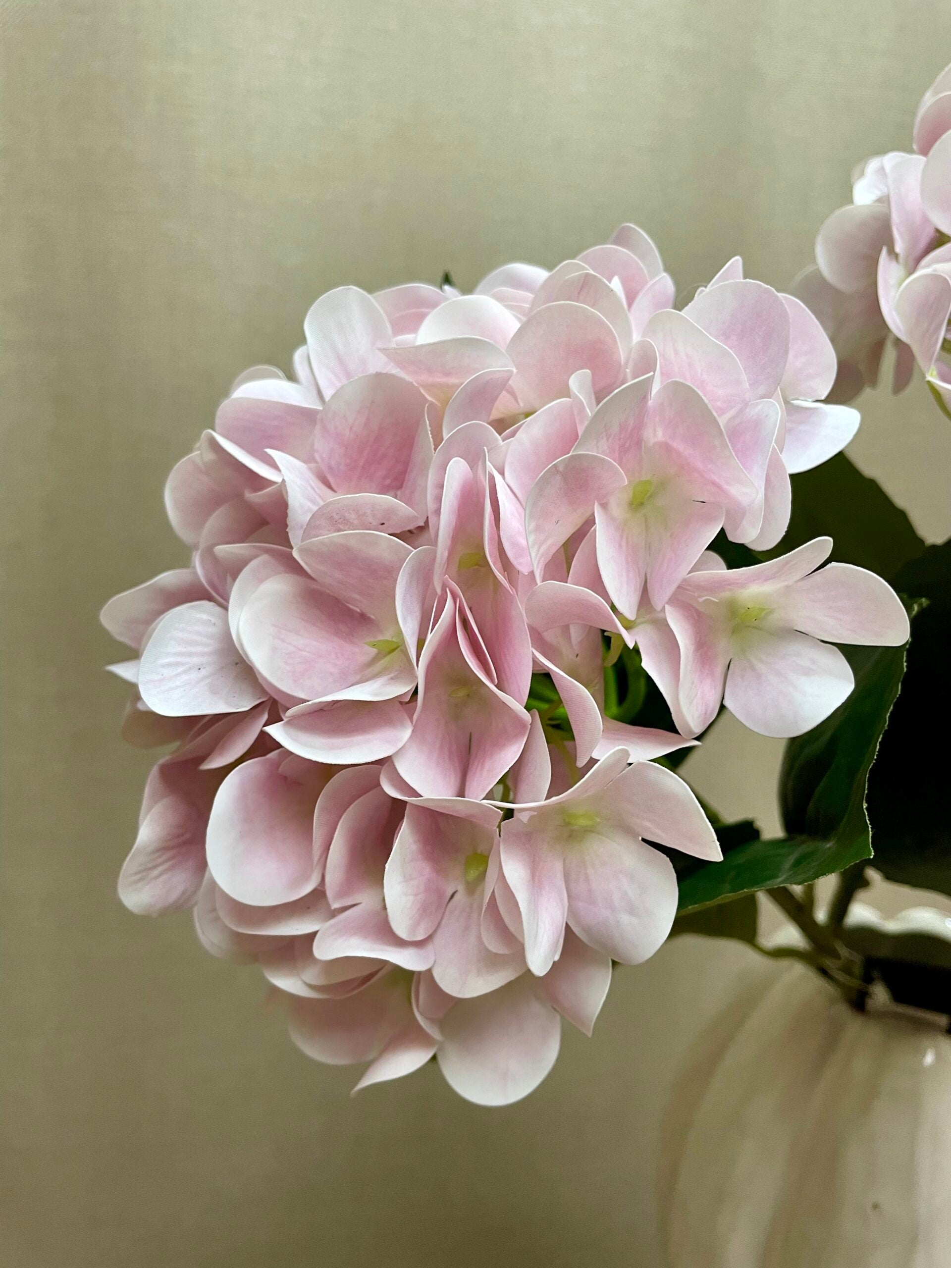 Hortensia lys rosa h 65 cm