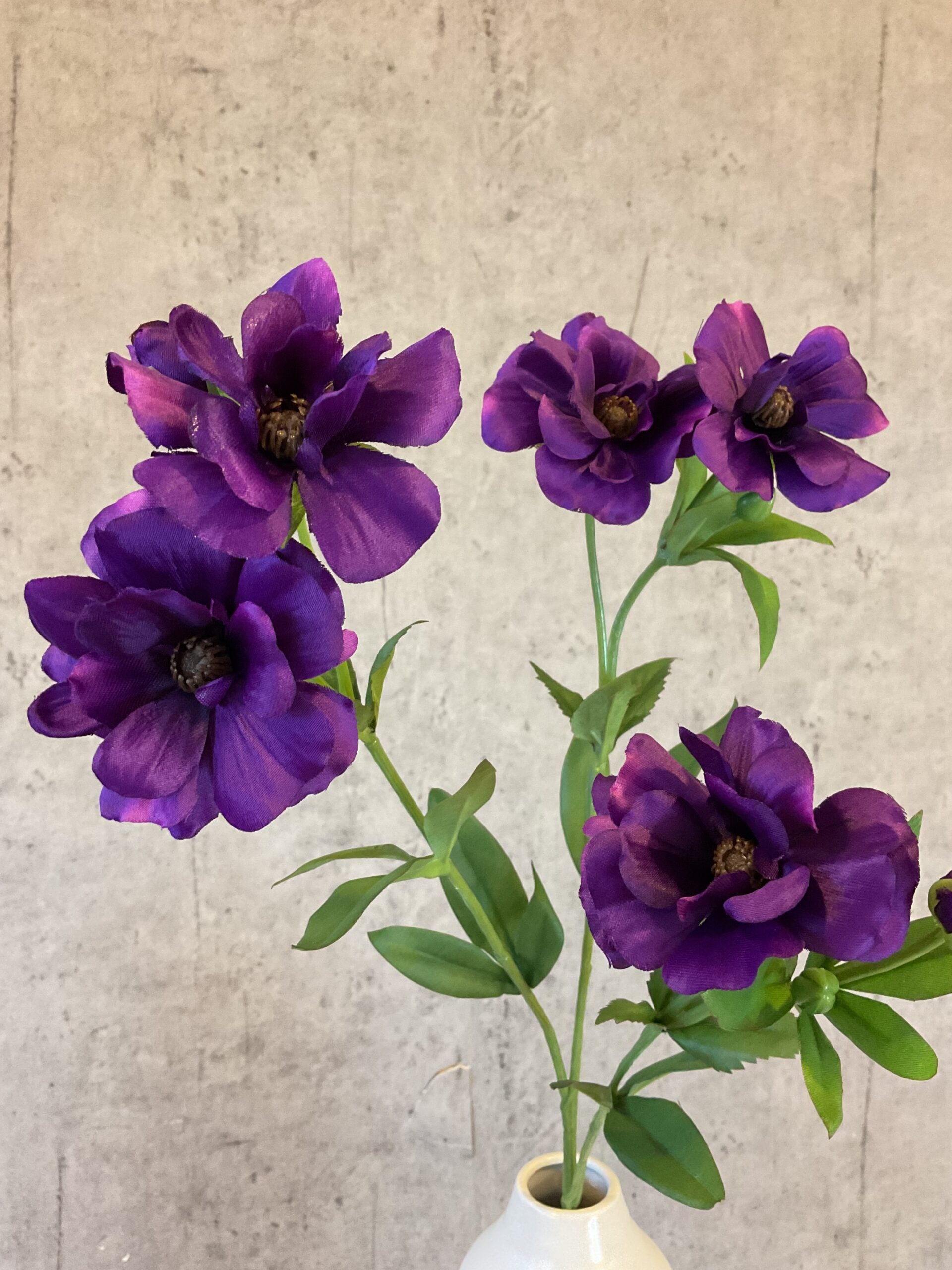Anemone purple h 74 cm