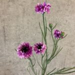 Kornblomst buket lilla h 66 cm