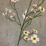 Cornus gren rosa/grøn h 92 cm