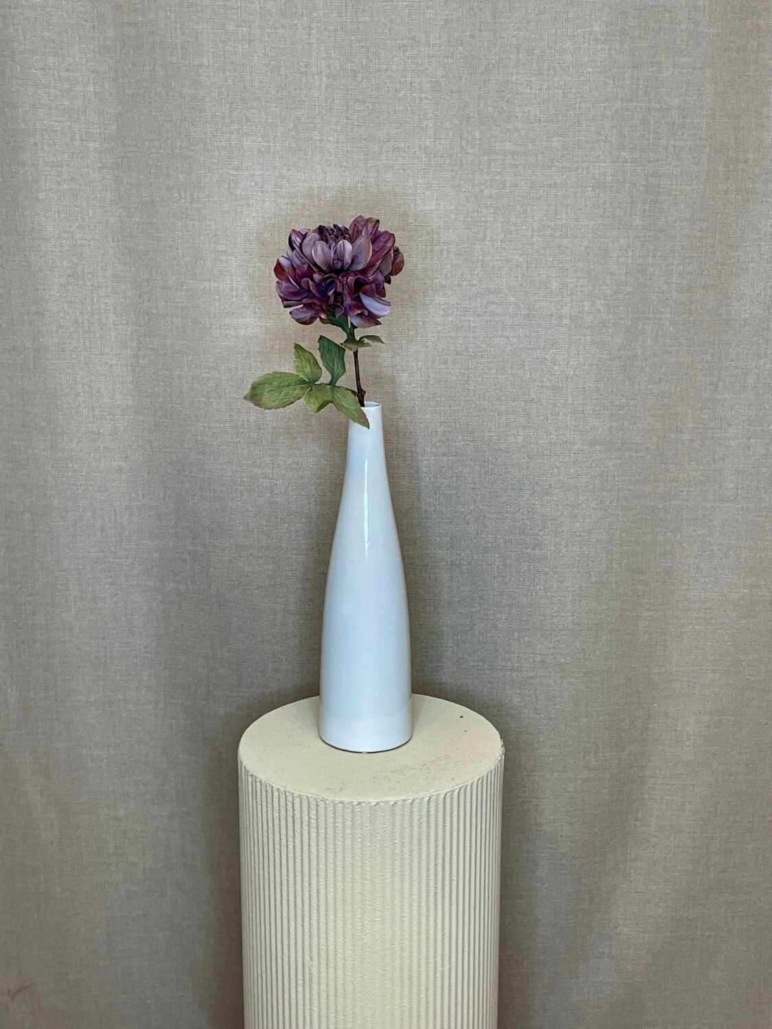 Dahlia purple h 57 cm