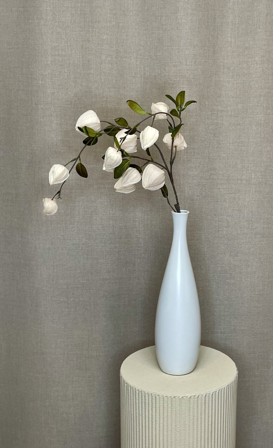 Physalis creme h 94 cm