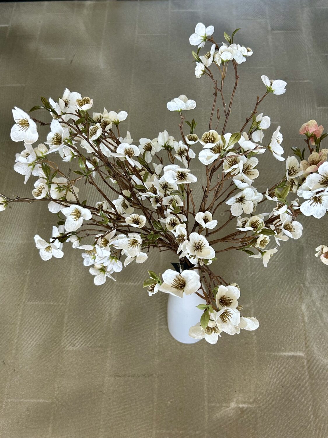 Helleborus bundt m/ 2 stk hvid h 75 cm