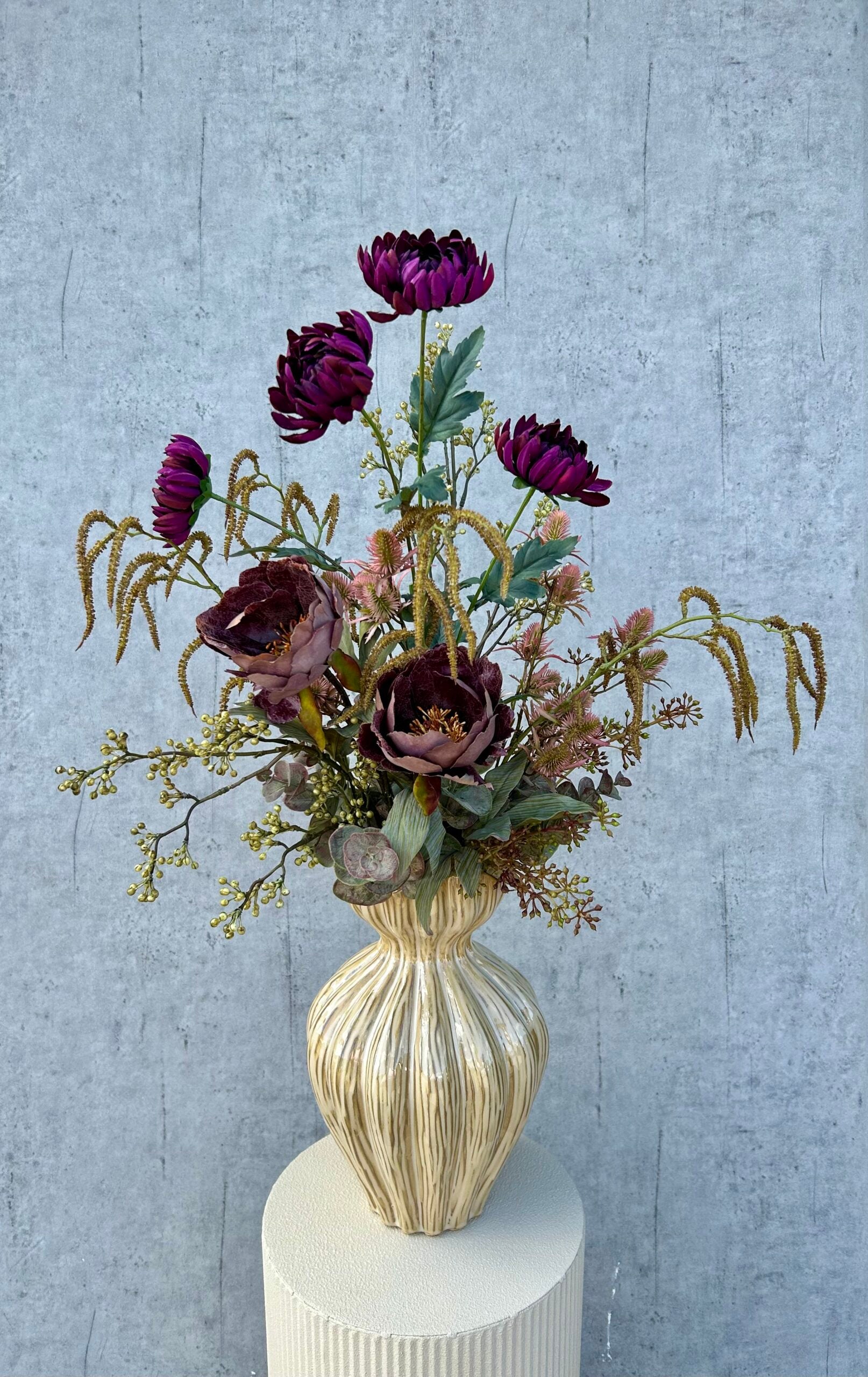 Eucalyptus aubergine H 50 cm