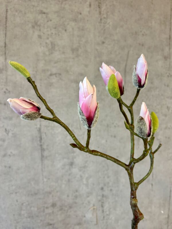 Magnolia rosa h 73 cm