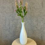 Phytolacca rosa h 72cm