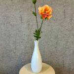 Valmue abrikos h 64 cm