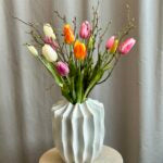 Tulipaner