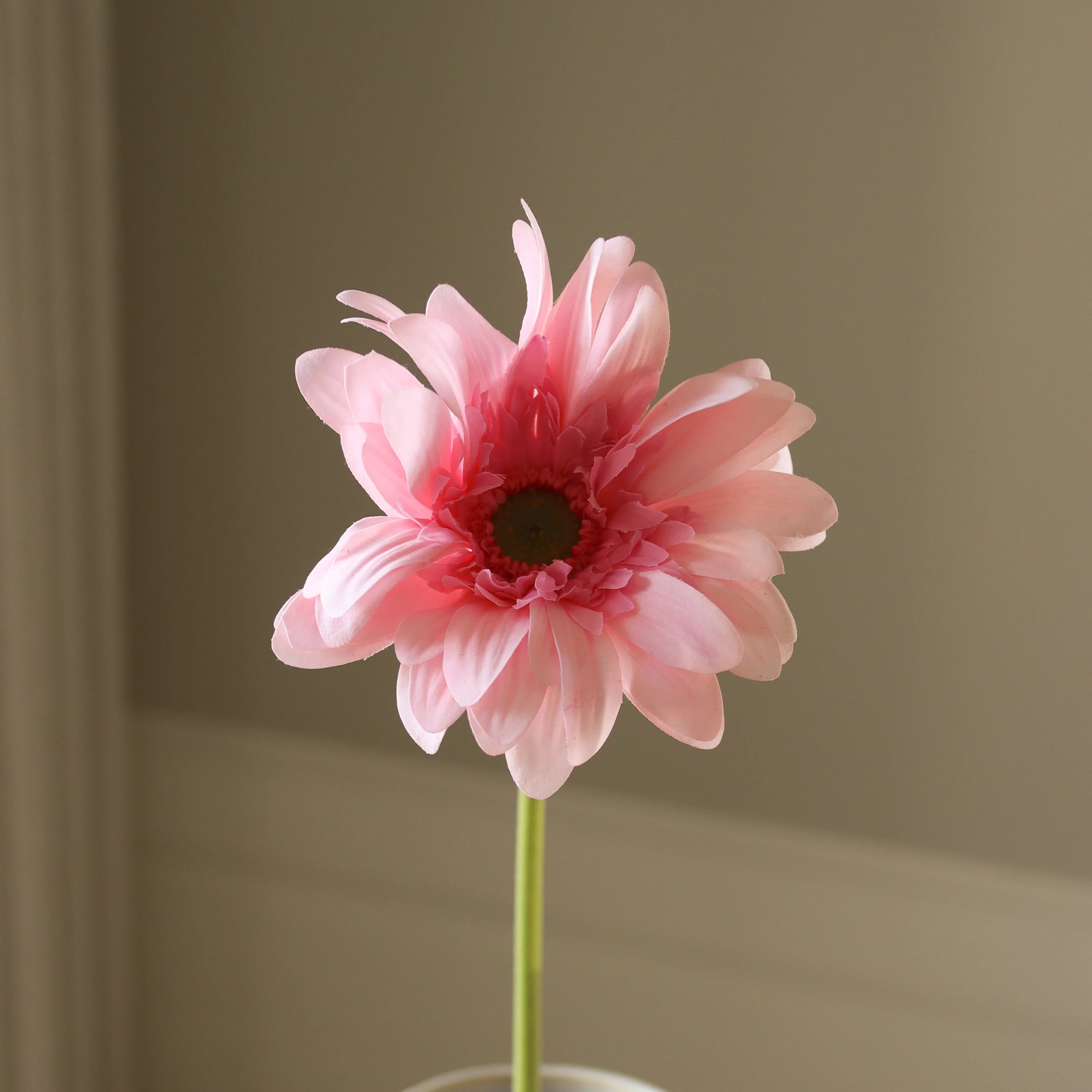 Lyserød Gerbera Daisy Flower