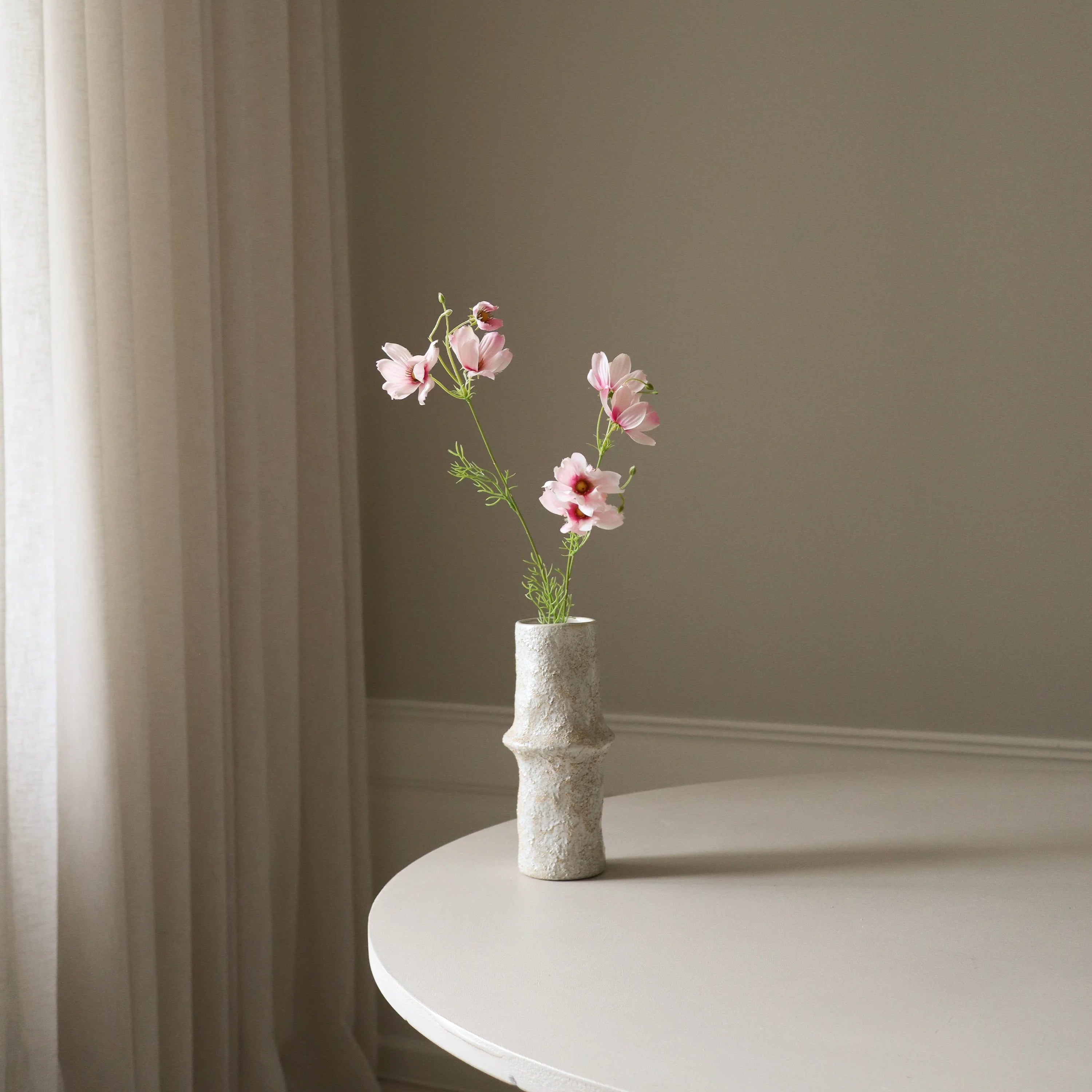 Lyserød Store Cosmo Daisy Flowers