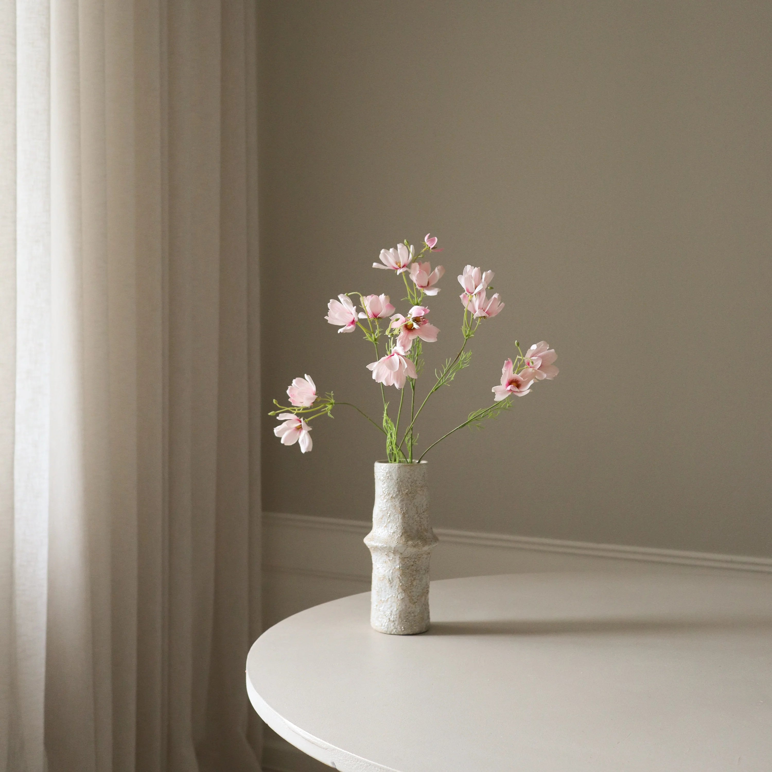 Lyserød Store Cosmo Daisy Flowers