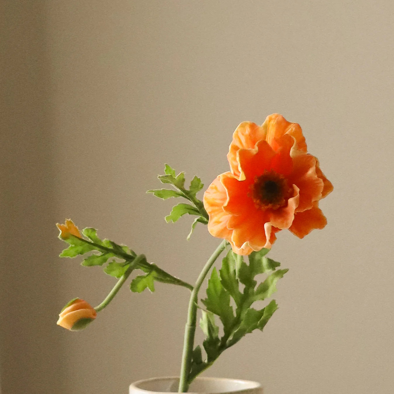 Orange Stor Valmueblomst