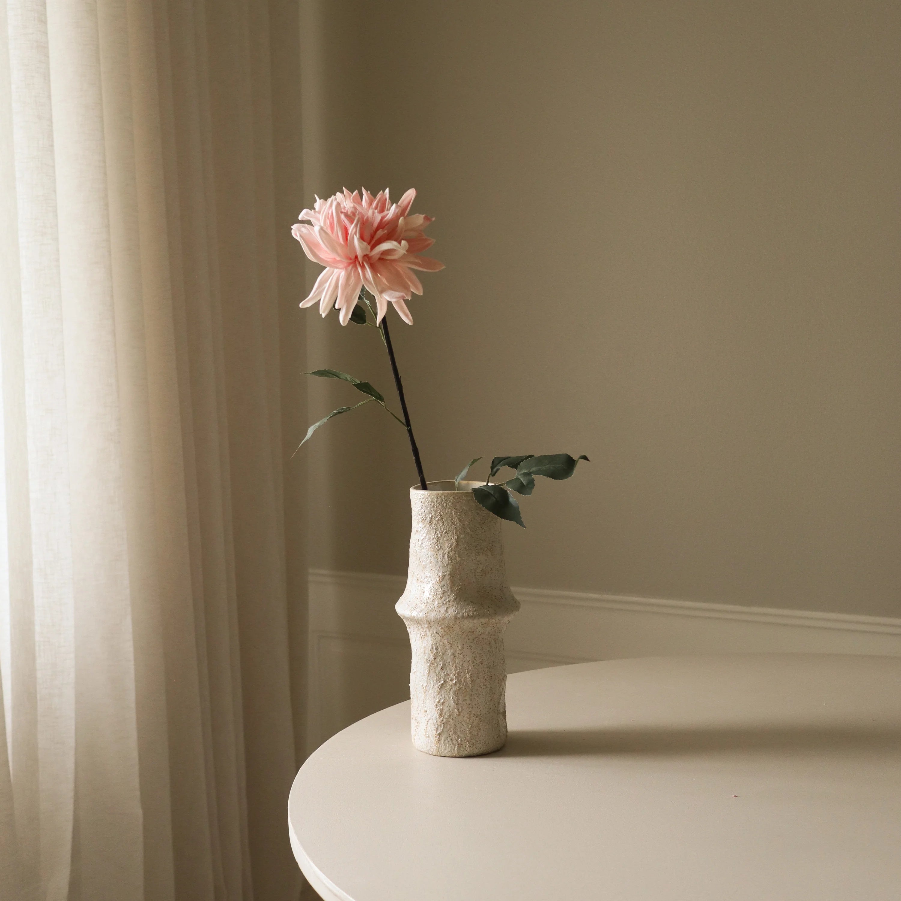 Lyserød kaktus dahlia blomst