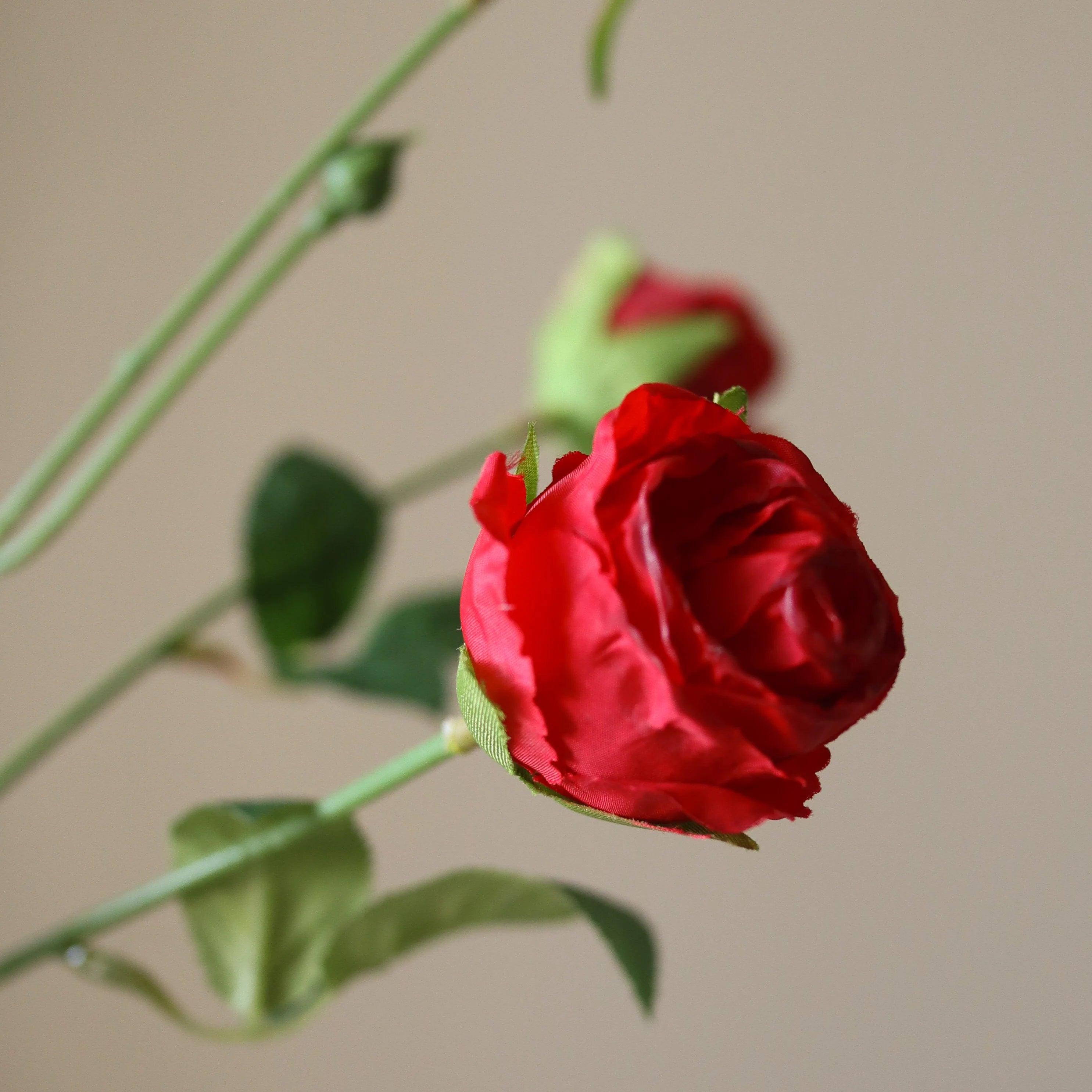 Røde Petite Spray Roses