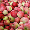 Æblemost Rød Aroma 0,75L