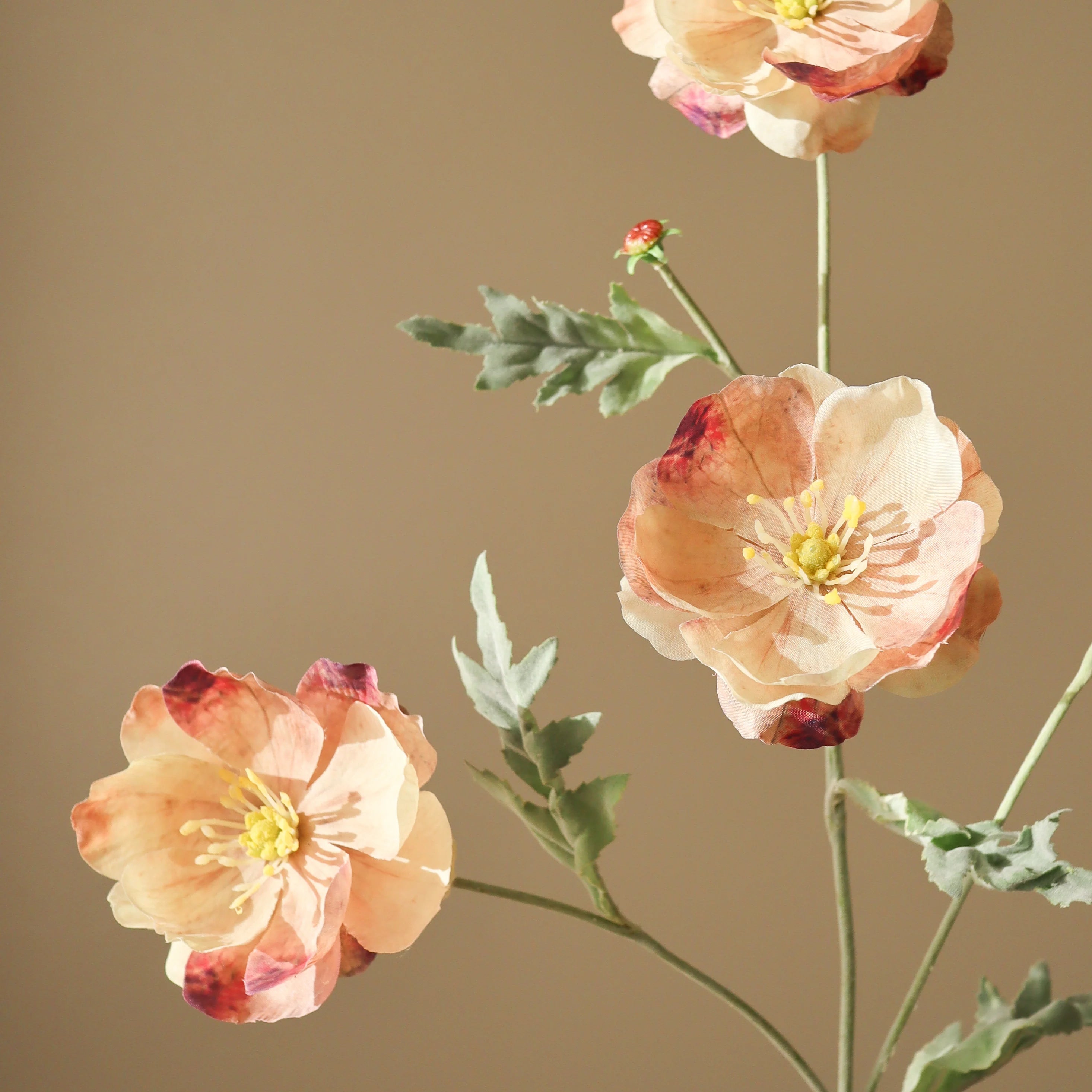 Rose fire hoveder valmueblomst