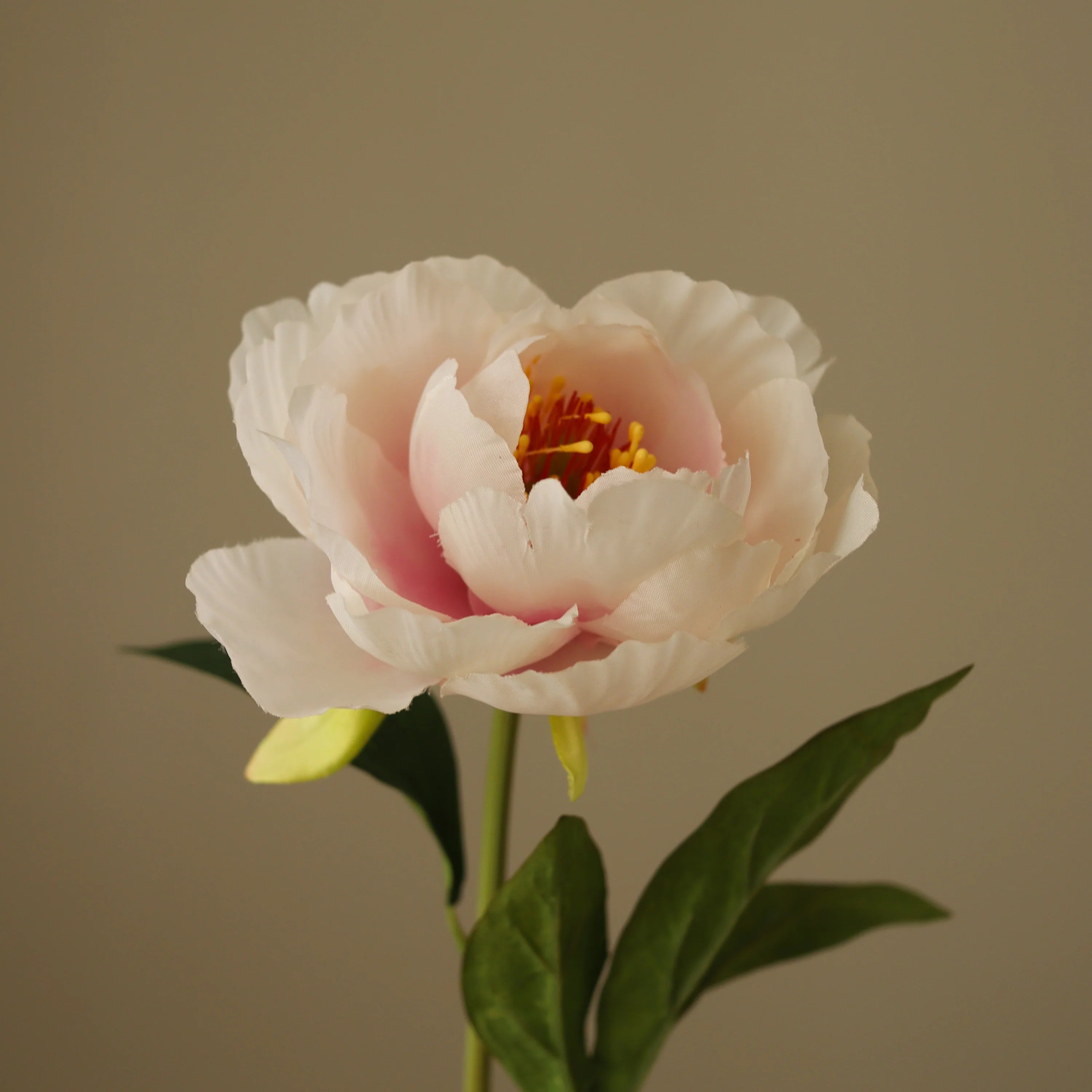 Rose One Head Peony Flower