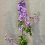 Ridderspore lilla h 90 cm