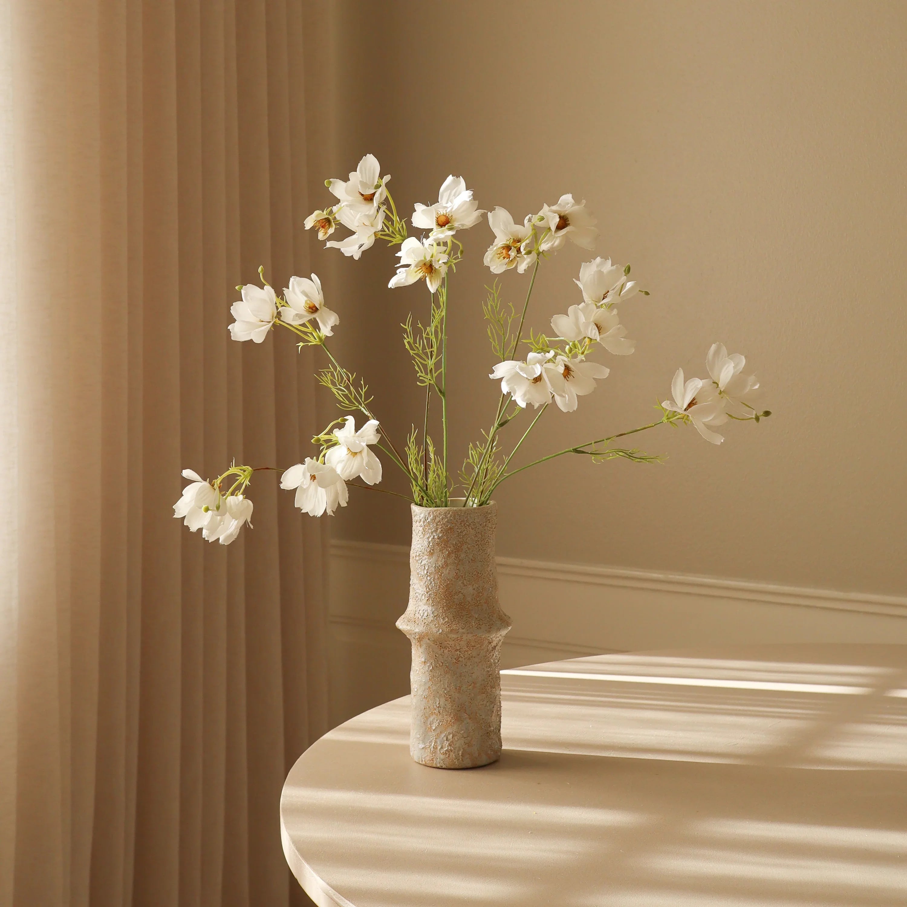 Hvide store Cosmo Daisy blomster