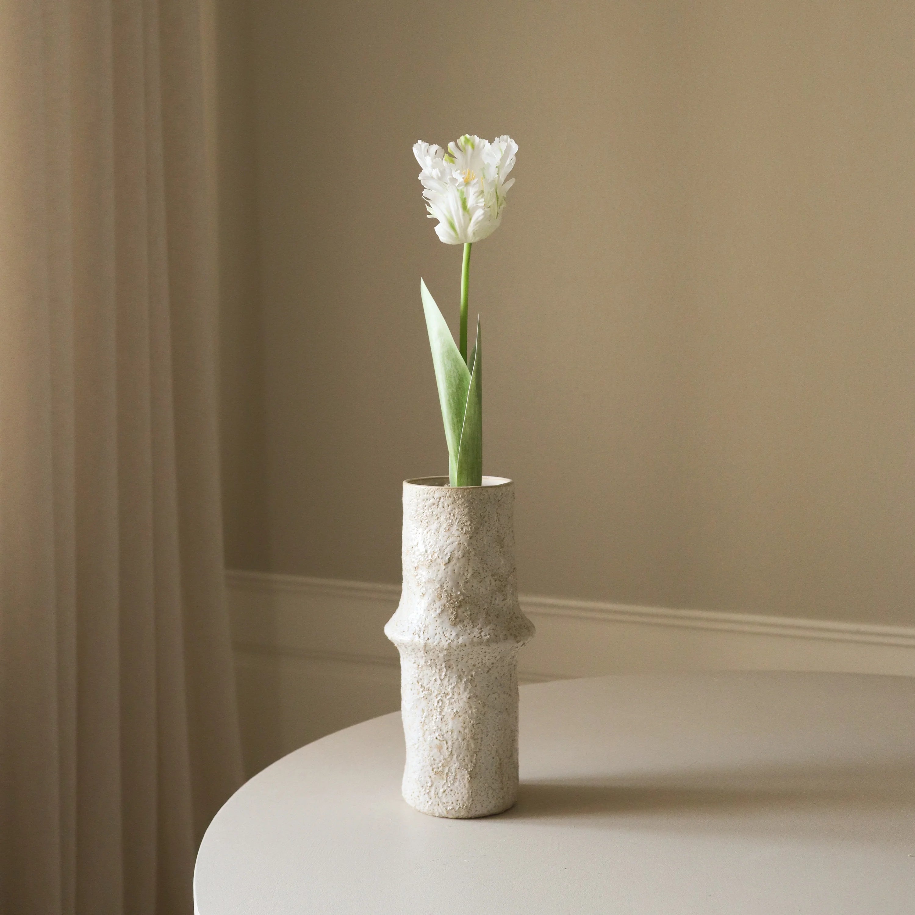 Hvid papegøje tulipan blomst