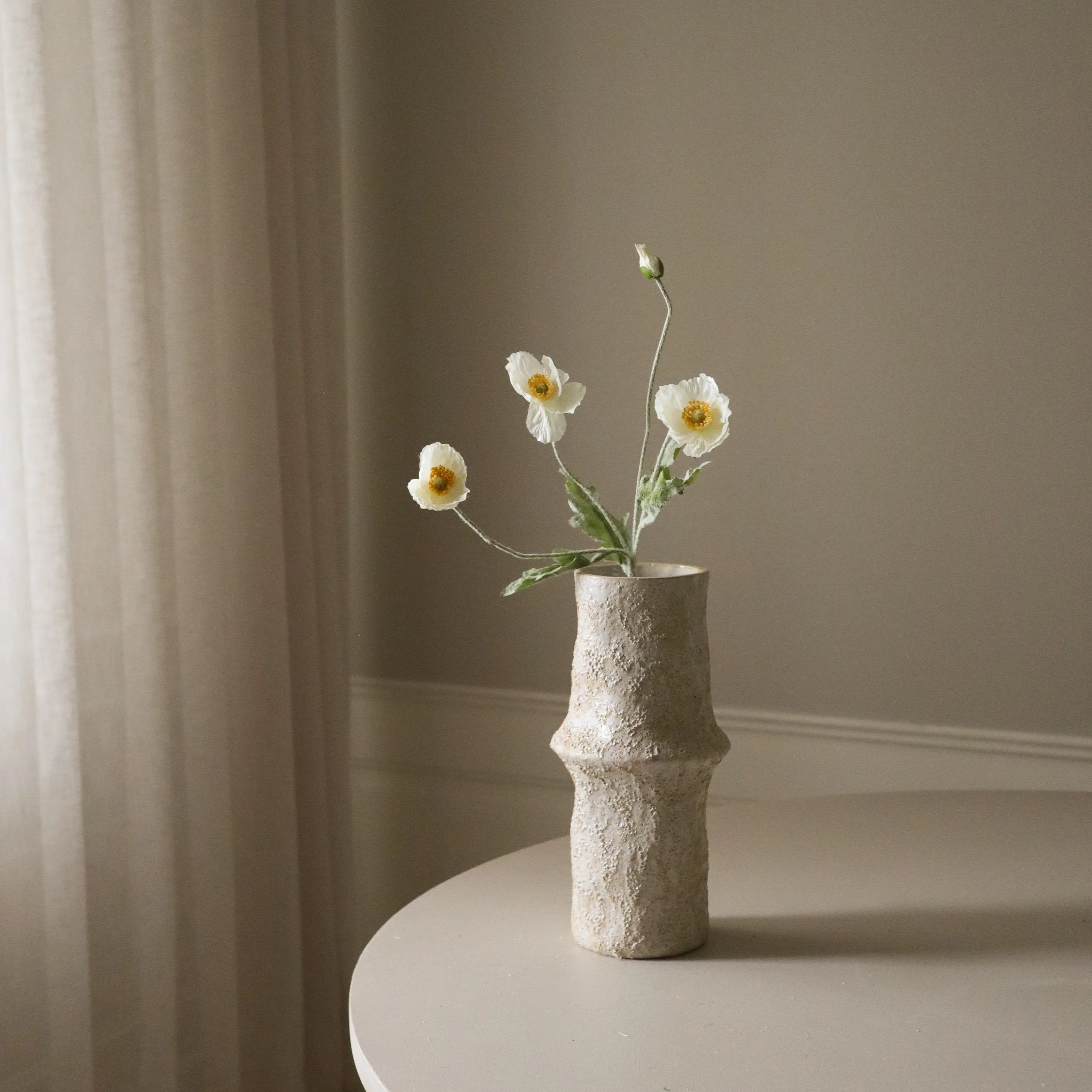 Hvid valmueblomst