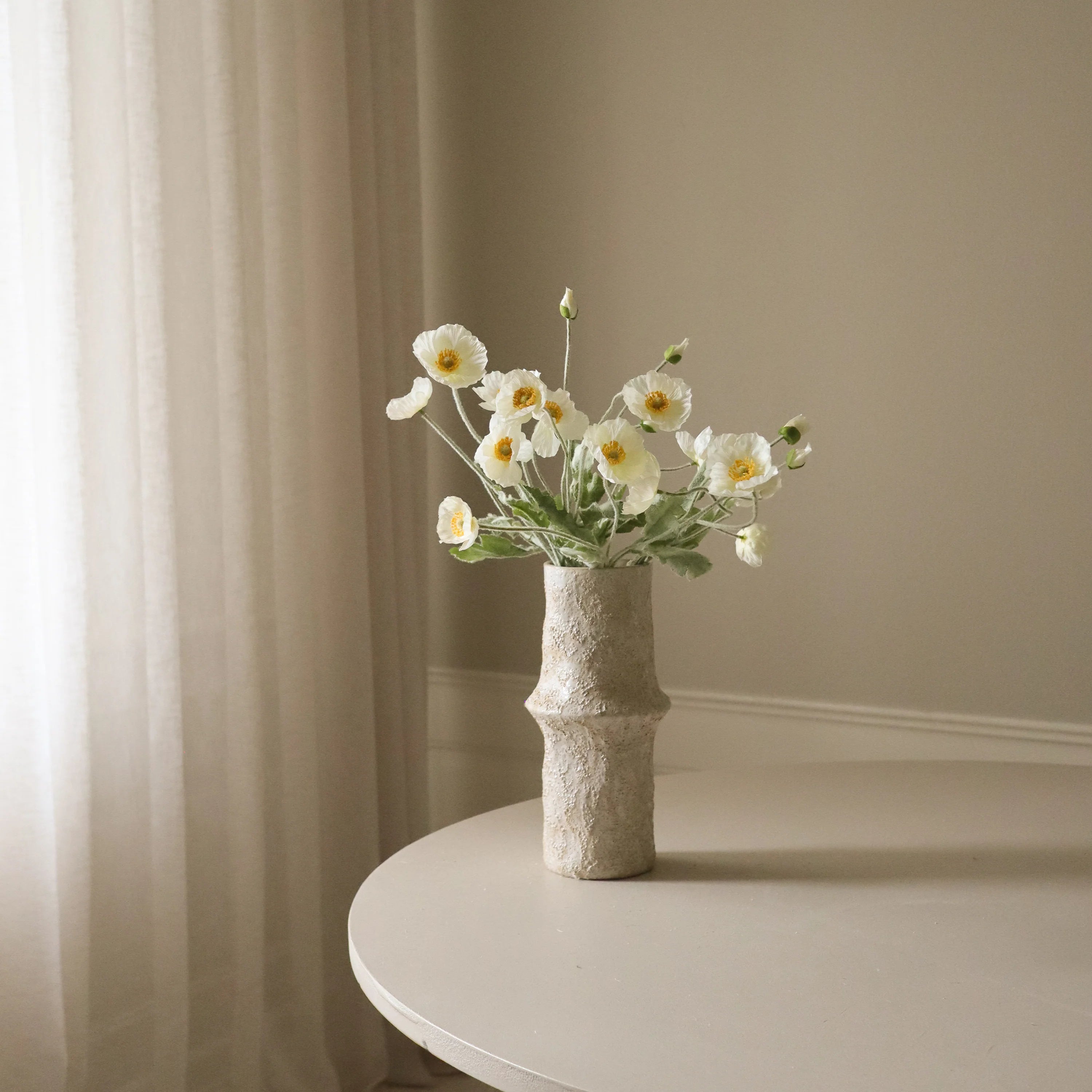 Hvid valmueblomst