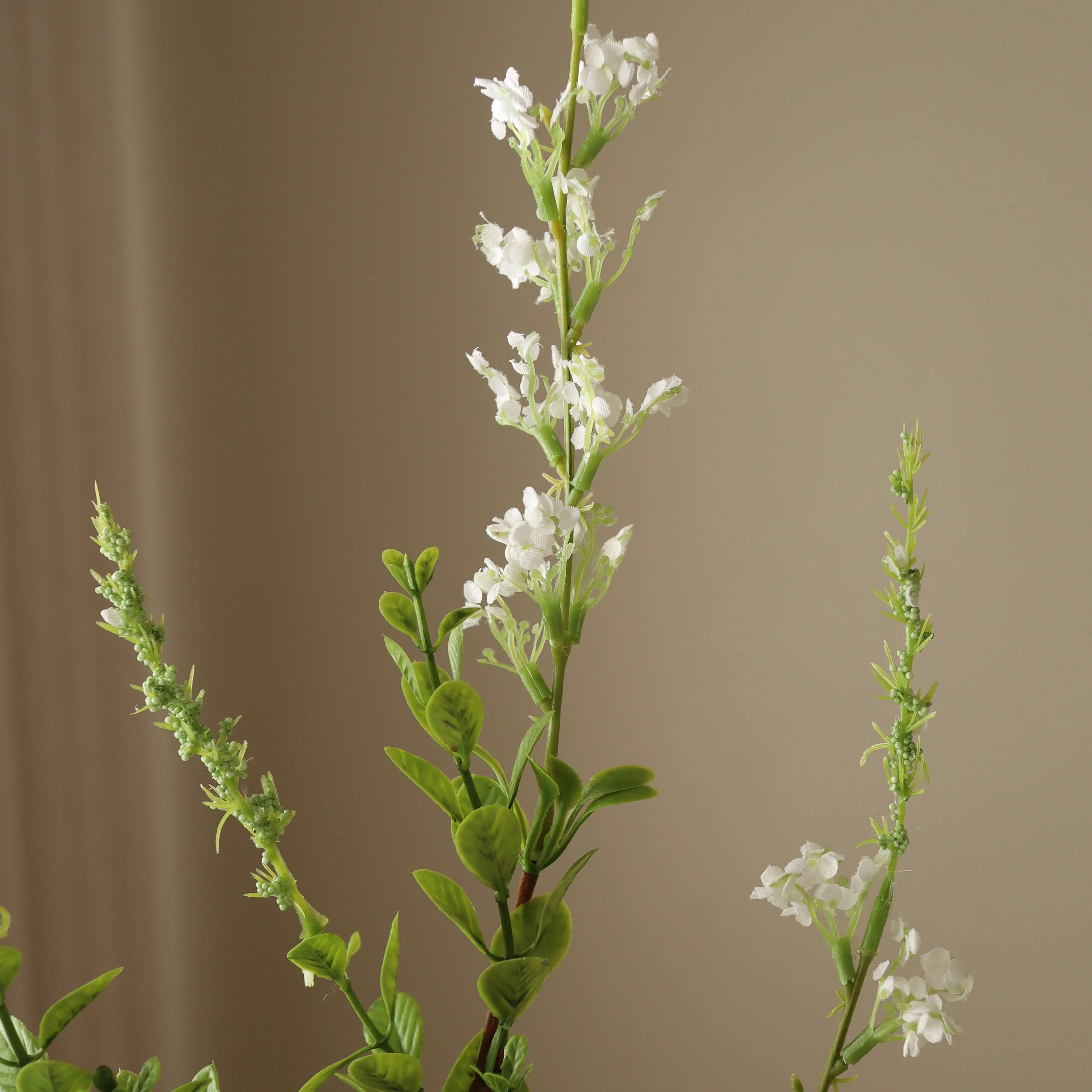 Hvid vild blomst