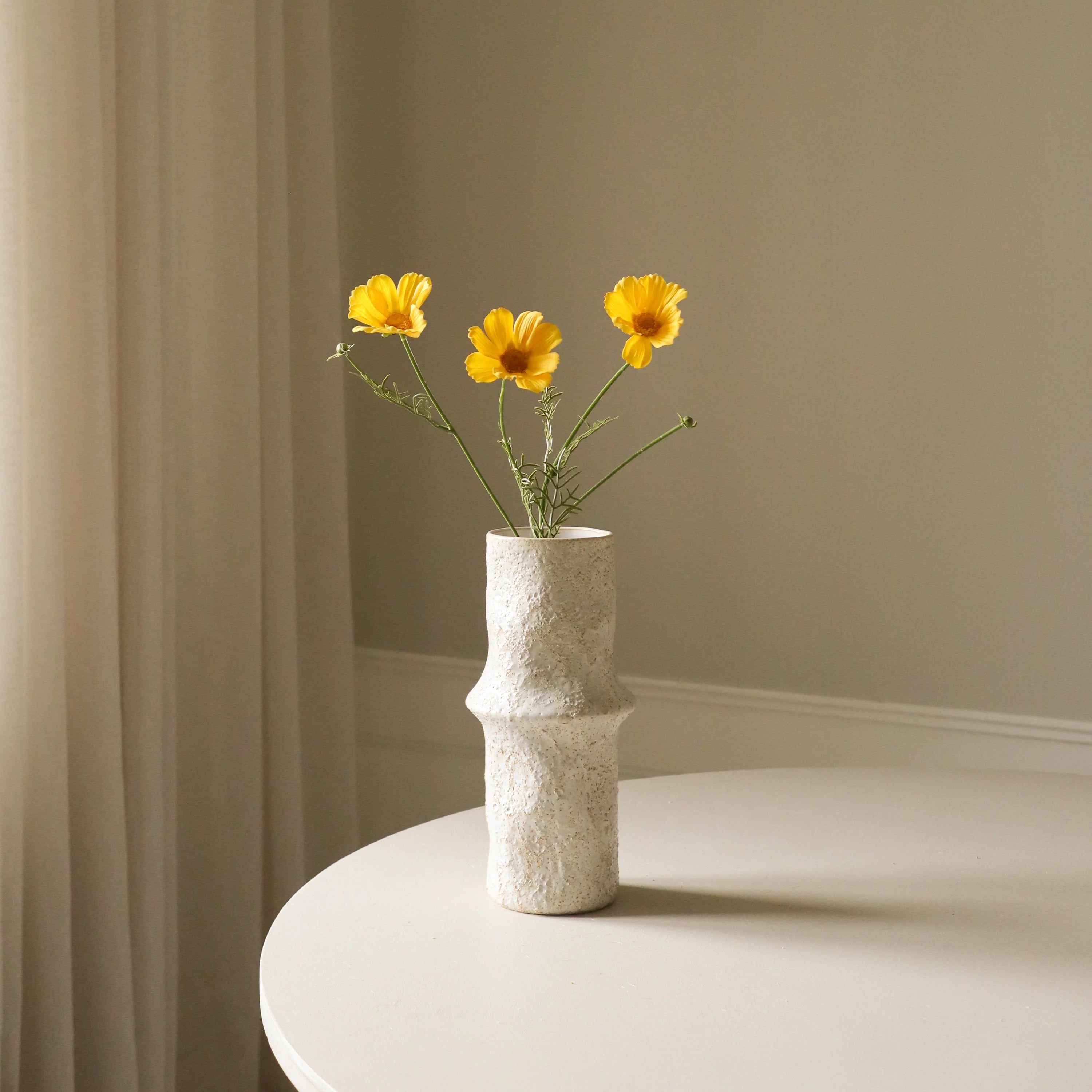 Gul Cosmo Daisy Flower