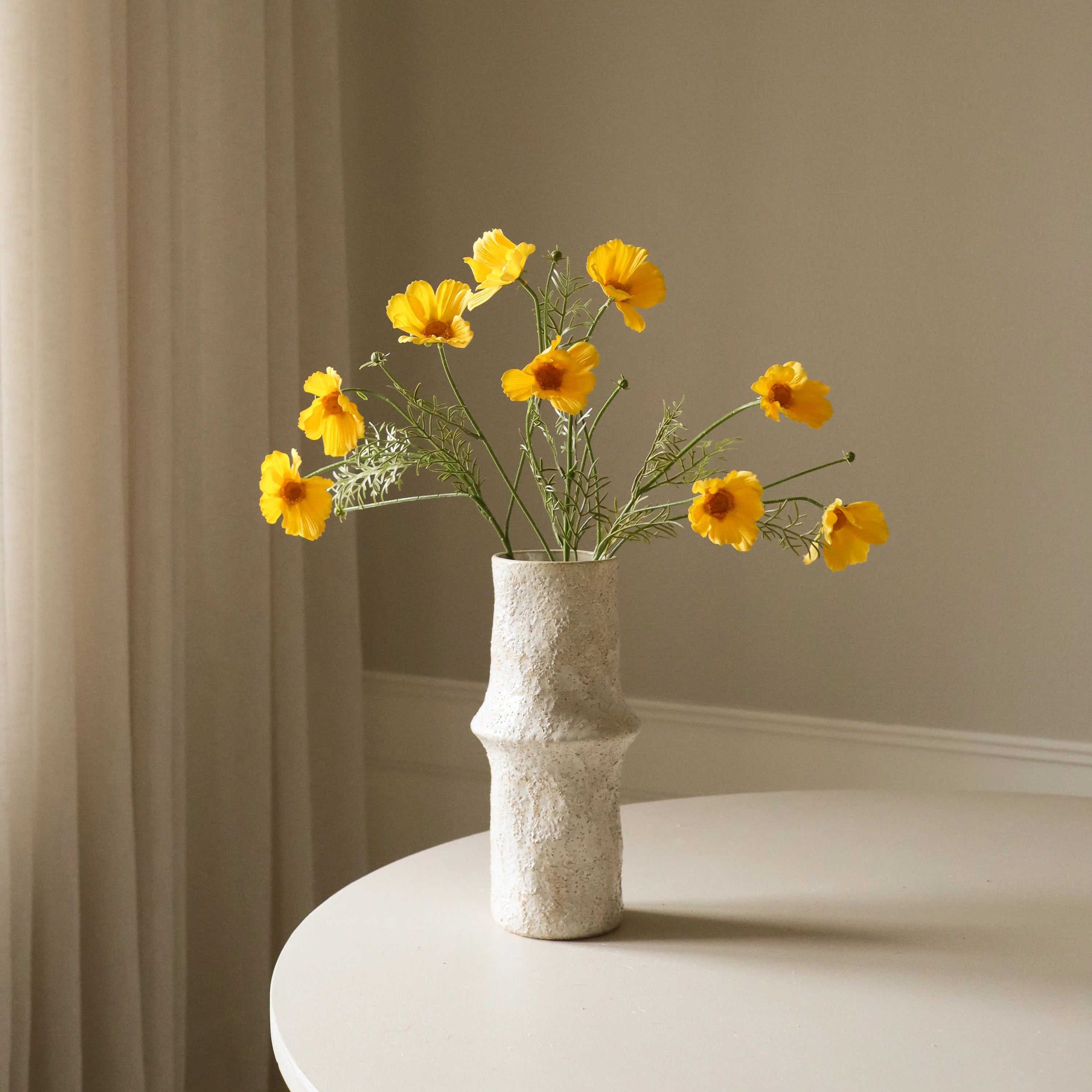Gul Cosmo Daisy Flower