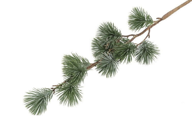 Cedergran støvet grøn – 64 cm – inspiration og detaljer