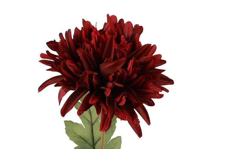 Chrysanthemum bordeaux – 68 cm – inspiration og detaljer