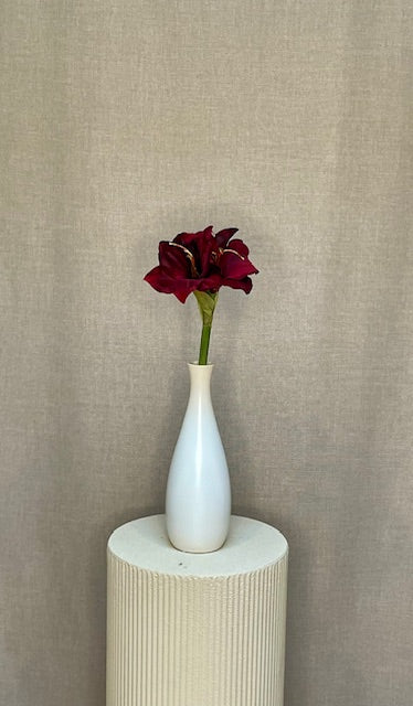 Amaryllis bordeaux – 50 cm – inspiration og detaljer